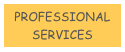 PROFESSIONAL
SERVICES